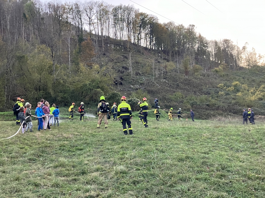 MEDGENERACIJSKA VAJA